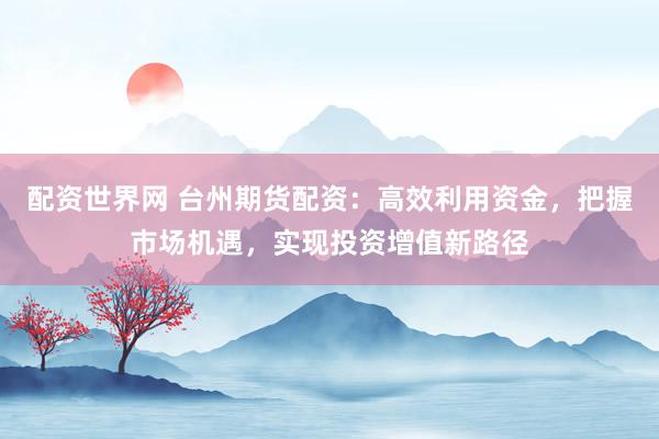 配资世界网 台州期货配资：高效利用资金，把握市场机遇，实现投资增值新路径