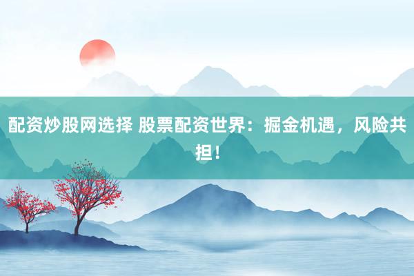 配资炒股网选择 股票配资世界：掘金机遇，风险共担！