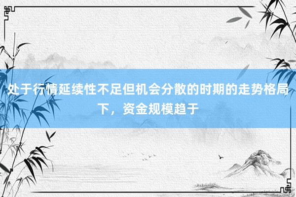 处于行情延续性不足但机会分散的时期的走势格局下，资金规模趋于