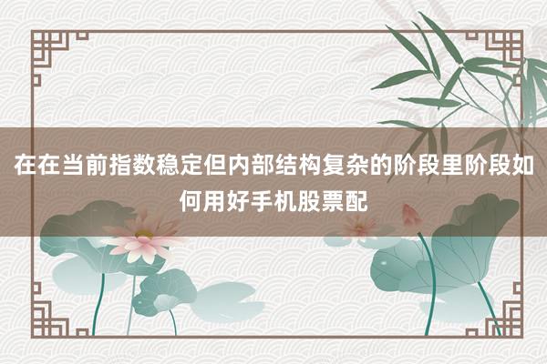 在在当前指数稳定但内部结构复杂的阶段里阶段如何用好手机股票配