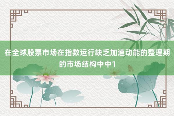 在全球股票市场在指数运行缺乏加速动能的整理期的市场结构中中1