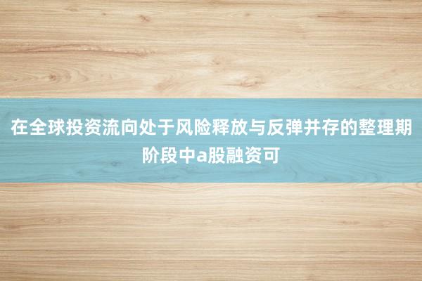 在全球投资流向处于风险释放与反弹并存的整理期阶段中a股融资可