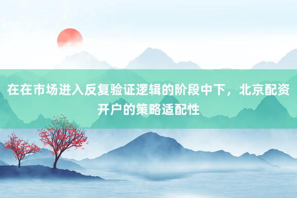 在在市场进入反复验证逻辑的阶段中下，北京配资开户的策略适配性