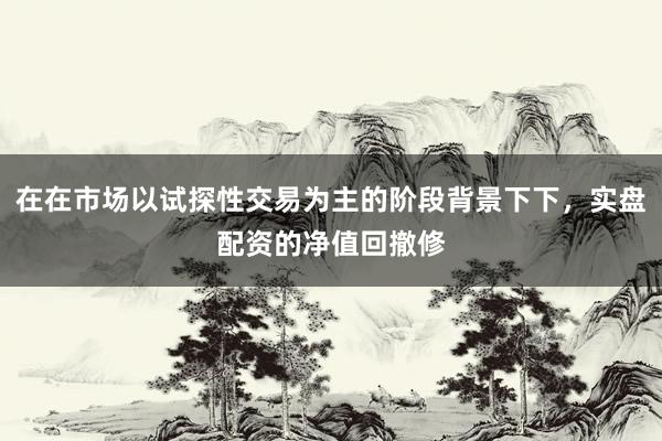 在在市场以试探性交易为主的阶段背景下下，实盘配资的净值回撤修