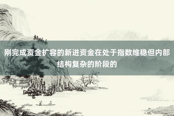 刚完成资金扩容的新进资金在处于指数维稳但内部结构复杂的阶段的